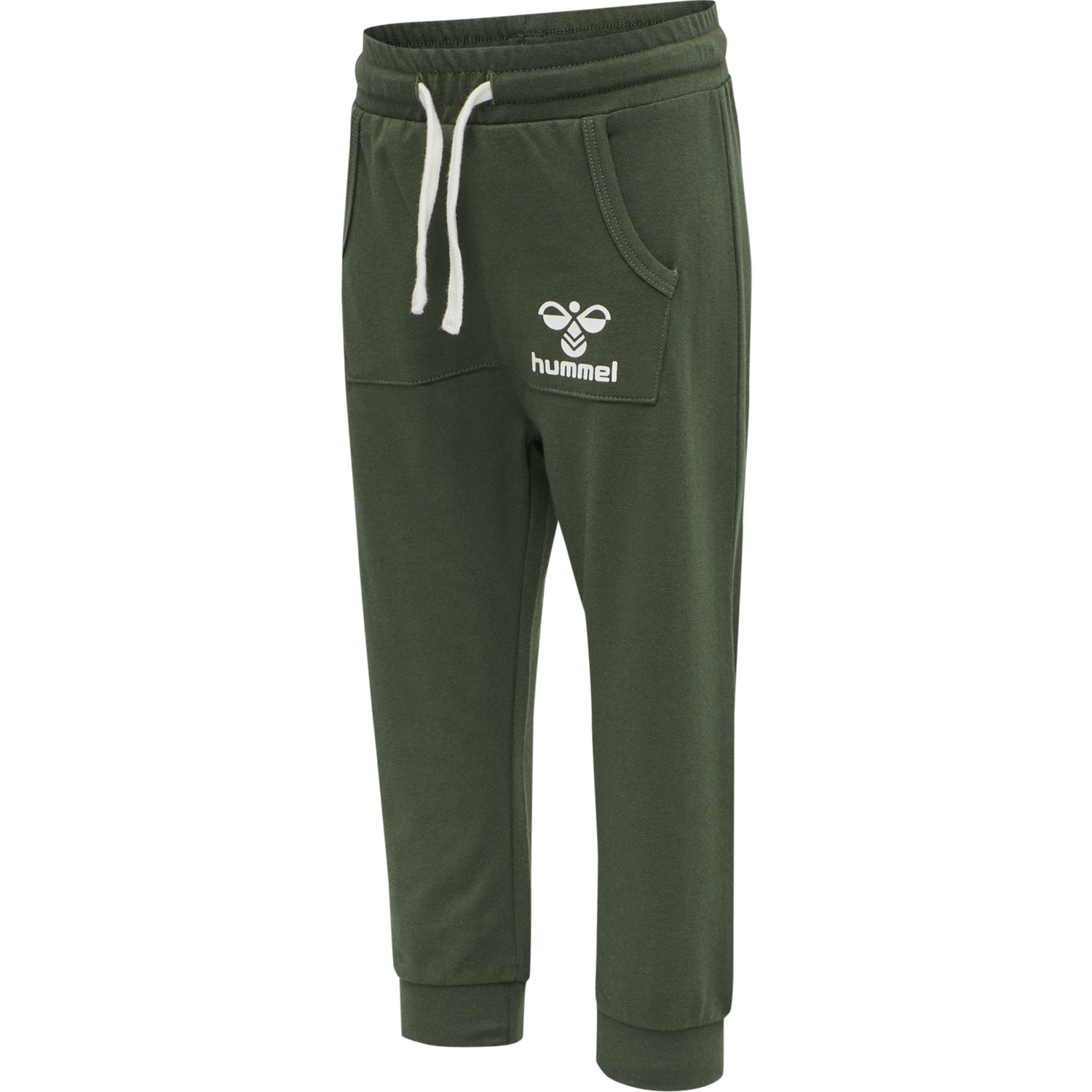 hmlFUTTE PANTS, THYME, packshot