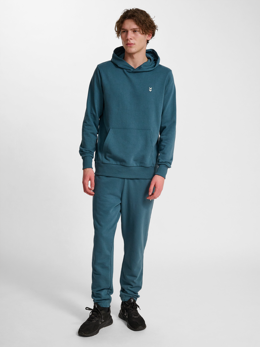 hmlPULSE SWEAT HOODIE, STARGAZER, model