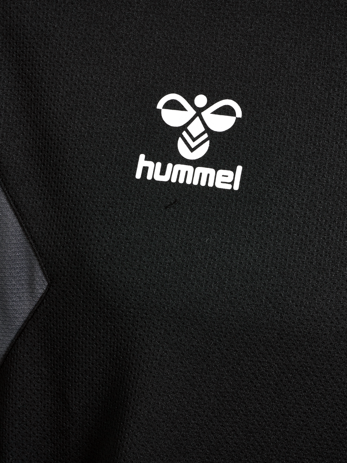 hmlAUTHENTIC PL HOODIE, BLACK, packshot