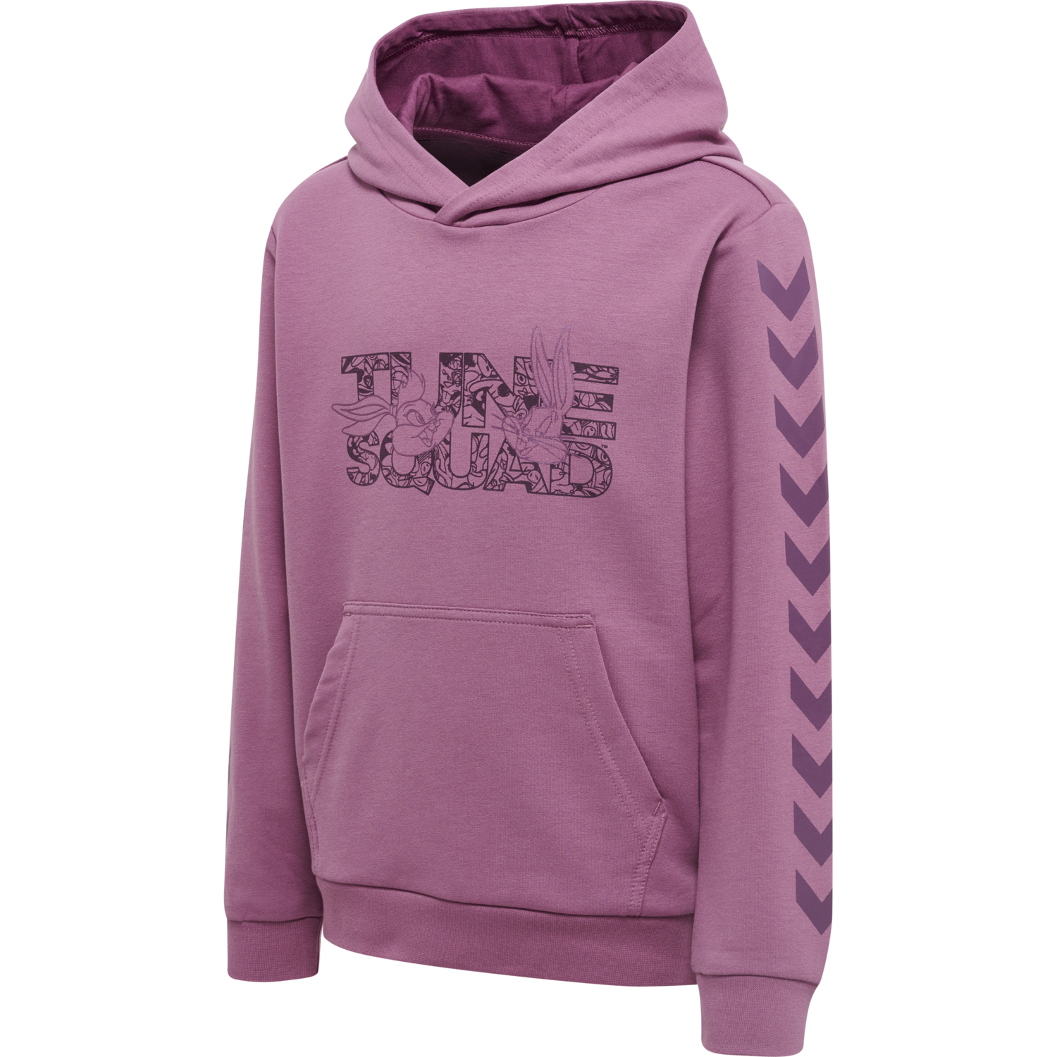 hmlSPACE JAM CUATRO HOODIE, BORDEAUX, packshot