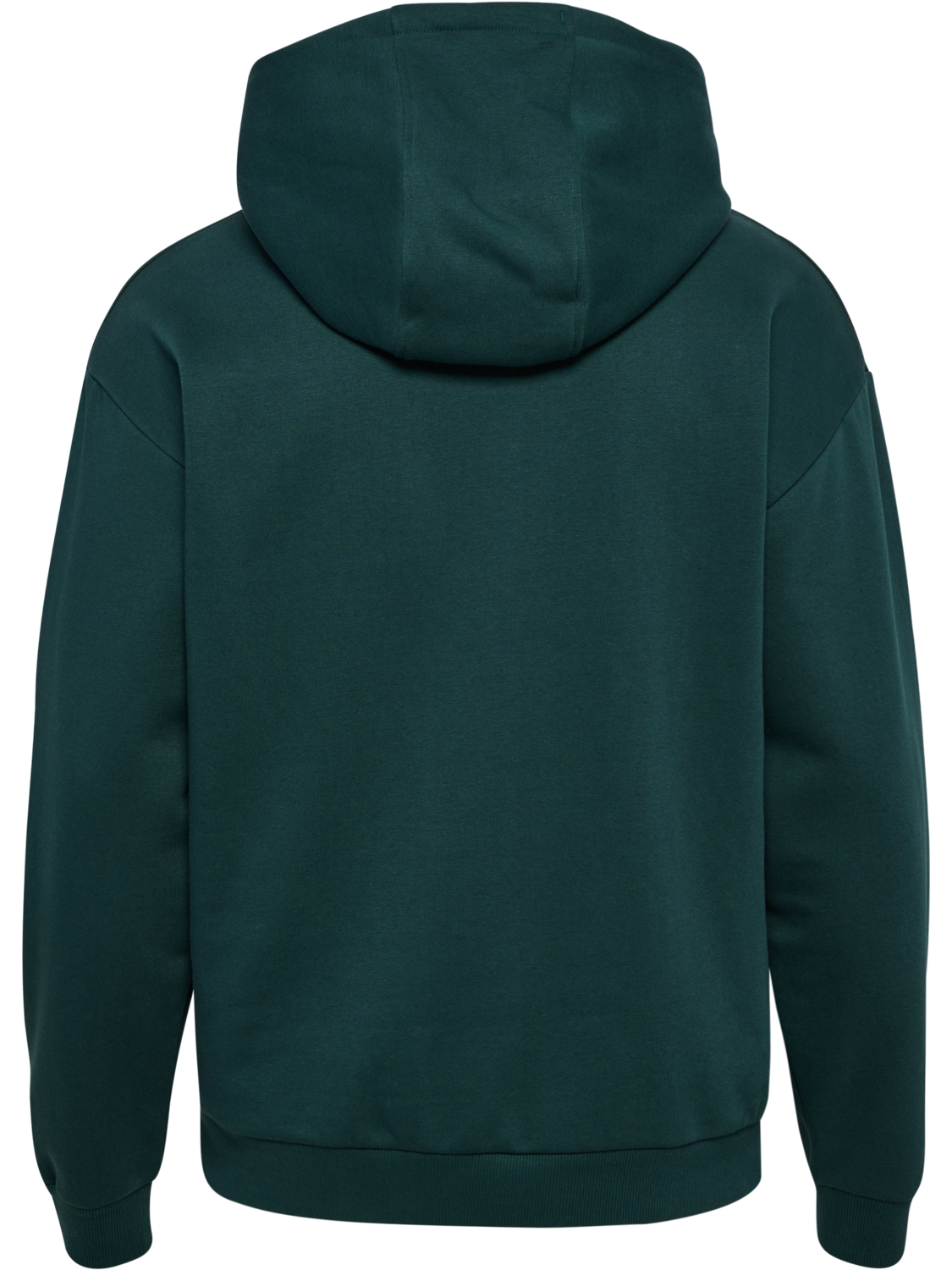 hmlLOOSE HOODIE SPORTSWEAR, PONDEROSA PINE, packshot