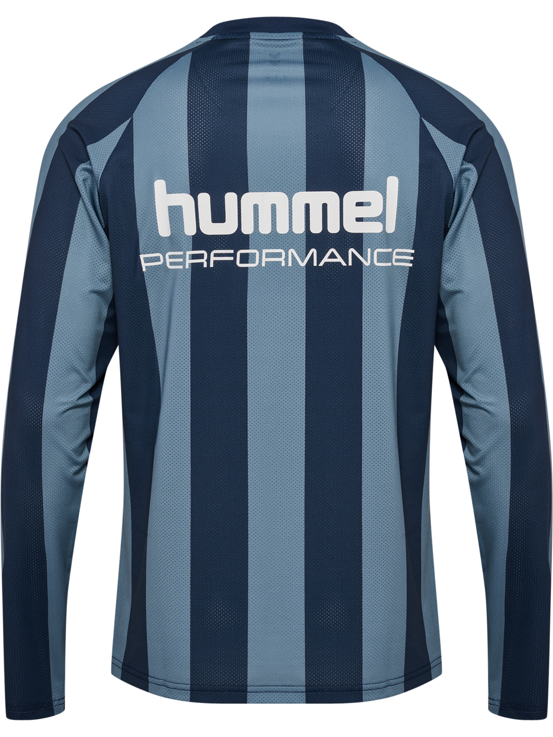 hmlPULSE MESH T-SHIRT L/S, BLUE MIRAGE/DRESS BLUE, packshot