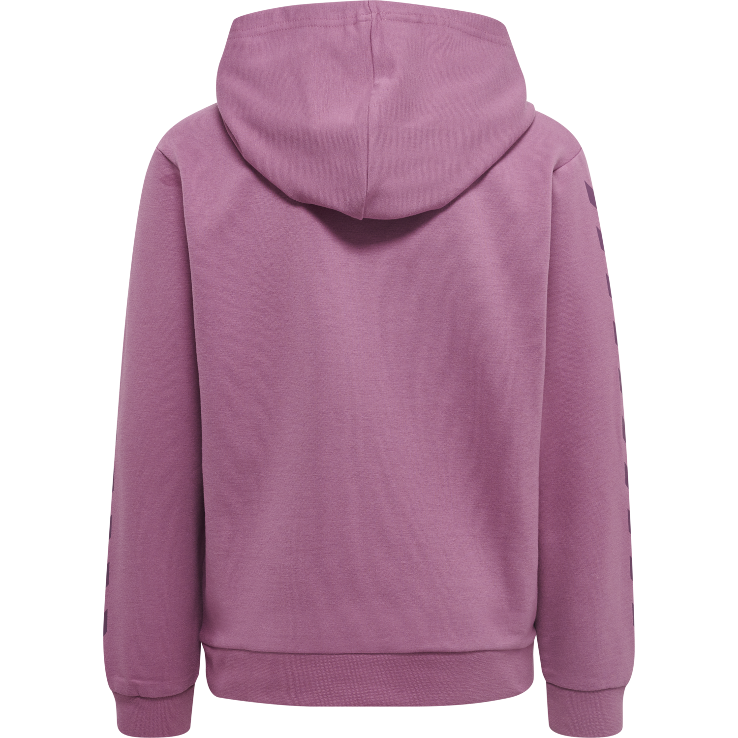 hmlSPACE JAM CUATRO HOODIE, BORDEAUX, packshot